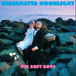 Soft Boys, The/Underwater Moonlight (45th Anniversary Remaster) [CD]