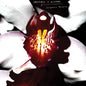 Chrystabell & David Lynch/Cellophane Memories [CD]
