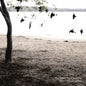 Tallest Man On Earth, The/There's No Leaving Now [CD]