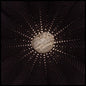 Baldwin, Nat/In The Hollows [LP]