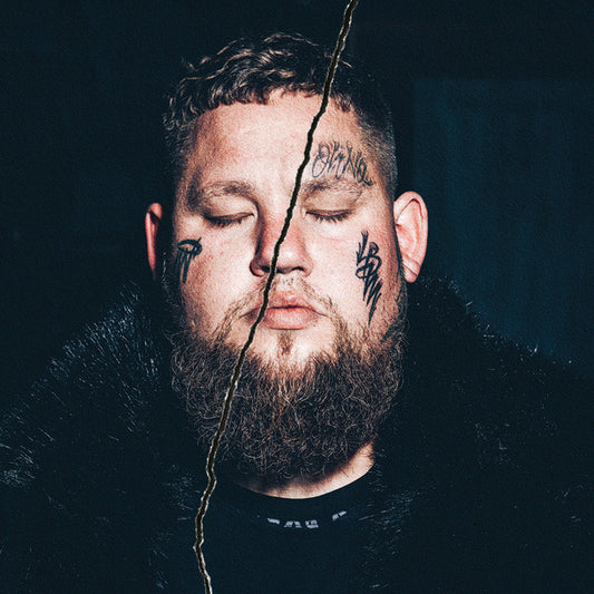 Rag'N'Bone Man/Life By Misadventure [LP]