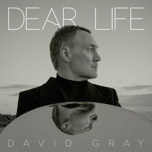 Gray, David/Dear Life [CD]