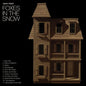Isbell, Jason/Foxes In The Snow [CD]