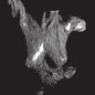 Oceansize/Self Preserved While The Bodies Float Up (15th Anniversary 3LP) [LP]
