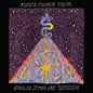 Fuzz/Fuzz's Fourth Dream [LP]