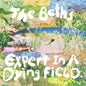 Beths, The/Expert In A Dying Field ("Head In The Clouds" Blue Eco-Mix Vinyl) [LP]