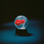 Darkside/Nothing [CD]