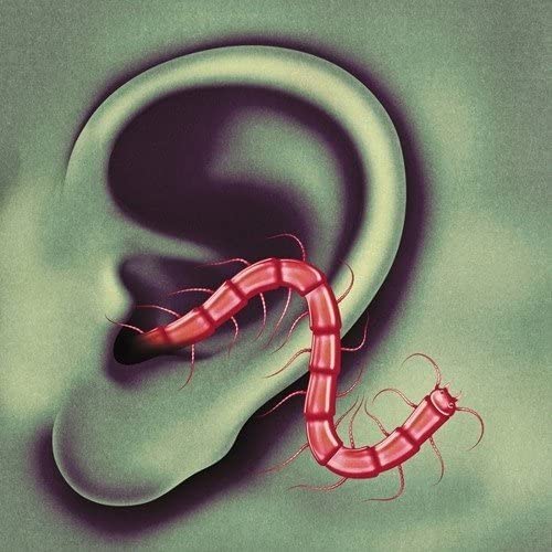 Thee Oh Sees/An Odd Entrances [LP]
