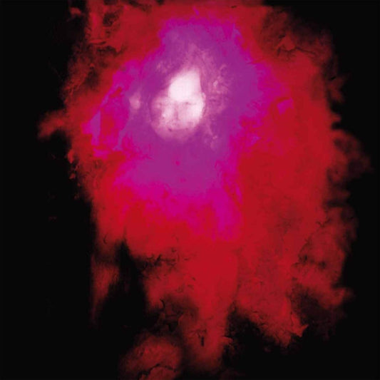 Porcupine Tree/Up The Downstair [LP]