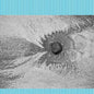 Four Tet/New Energy [LP]