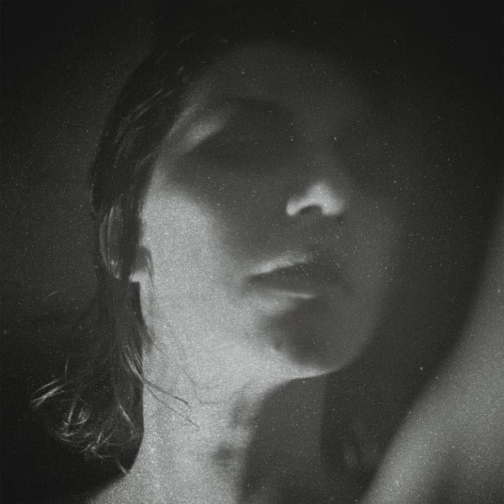 Harding, Aldous/Party [LP]