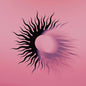 A.F.I./Silver Bleeds The Black Sun [CD]