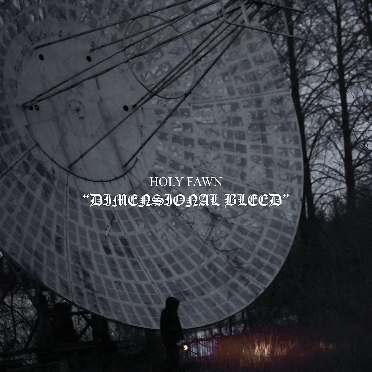 Holy Fawn/Dimensional Bleed (Coke Bottle Clear Vinyl) [LP]