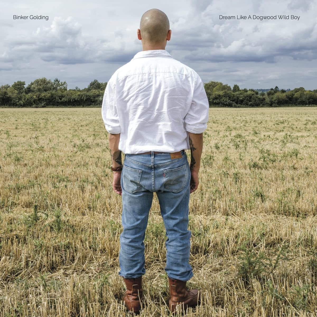 Golding, Binker/Dream Like A Dogwood Wild Boy [LP]