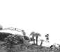 Timber Timbre/Hot Dreams [LP]