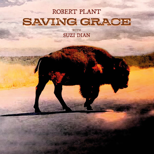 Plant, Robert/Saving Grace [CD]