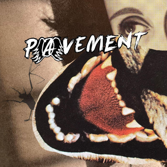 Pavement/Hecklers Choice: Big Gums & Heavy Lifters Collection [CD]