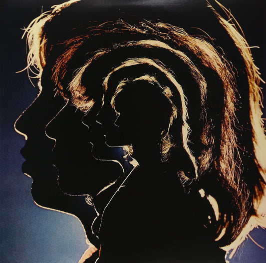 Rolling Stones, The/Hot Rocks 1964-1971 [LP]