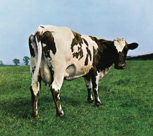 Pink Floyd/Atom Mother Heart [CD]