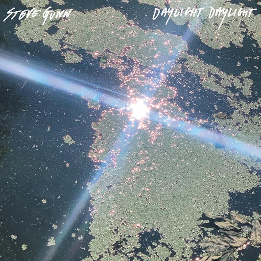 Gunn, Steve/Daylight Daylight [CD]