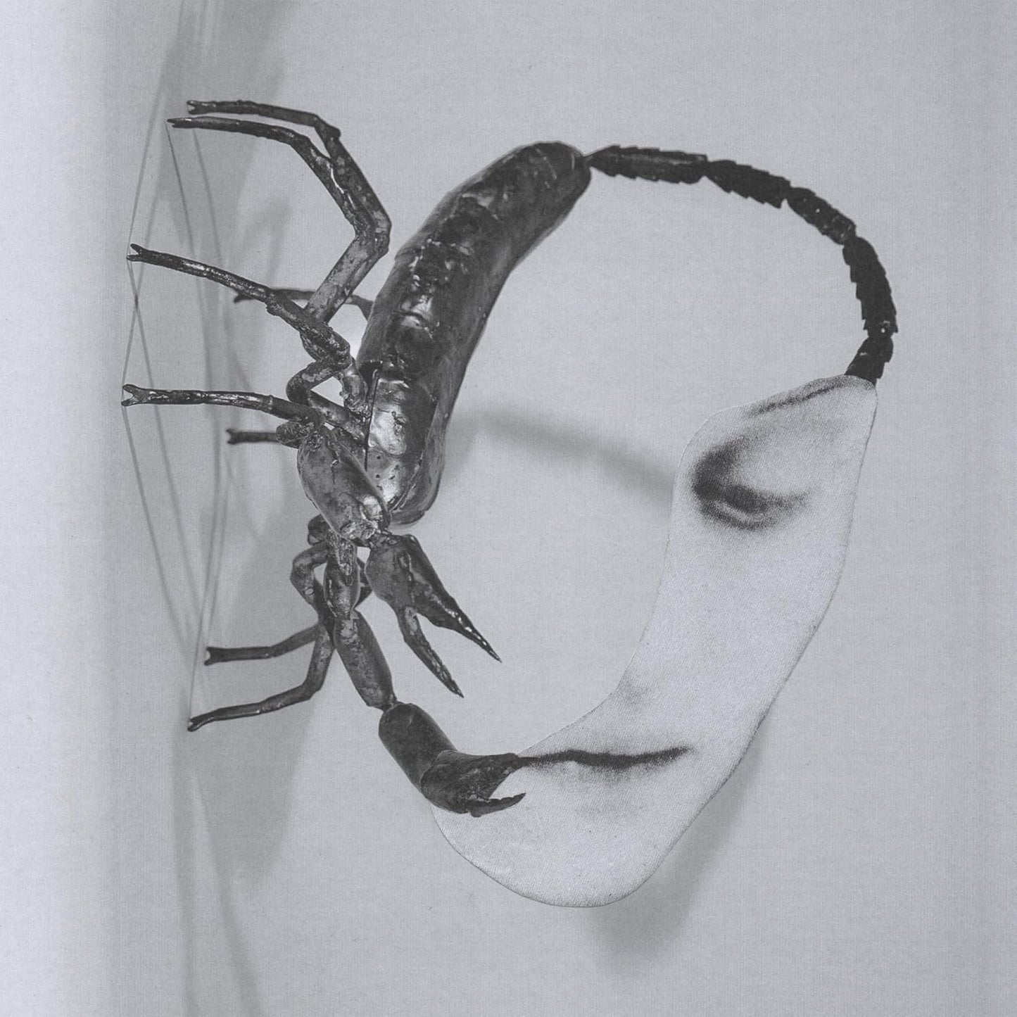 Tortoise/Touch [CD]