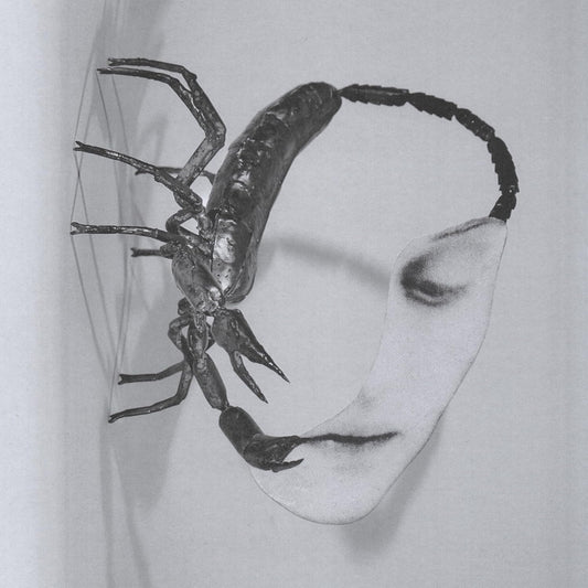 Tortoise/Touch [CD]
