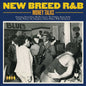Various Artists/New Breed R&B: Money Talks [CD]