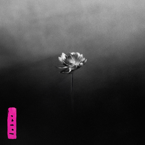 Little Simz/Lotus [CD]