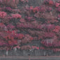 Sleep Token/Even In Arcadia [CD]