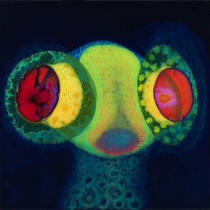 Osees/SORCS 80 [CD]