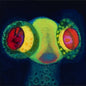 Osees/SORCS 80 [CD]