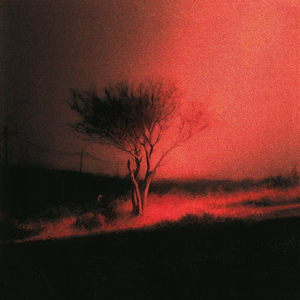 Joji/Piss In The Wind [CD]