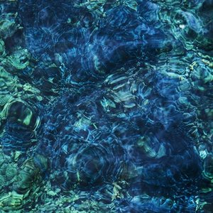 Aoba, Ichiko/Luminescent Creatures [LP]